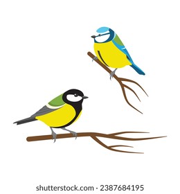 Great tit and Eurasian blue tit sitting on the branches on white isolated background