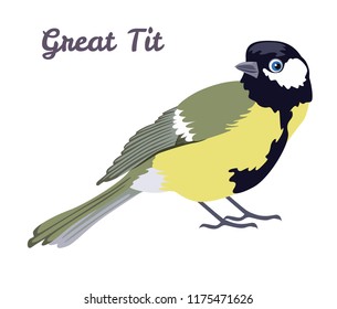 Great Tit isolated on white background. Vector illustration of city bird in a flat style.