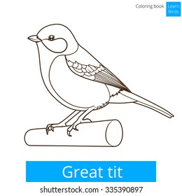 Great tit learn birds educational game coloring book vector illustration