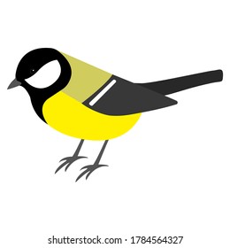 Great tit (Parus major) vector illustration of a yellow bird