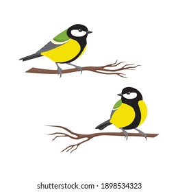 Great tits sitting on the branches on white isolated background