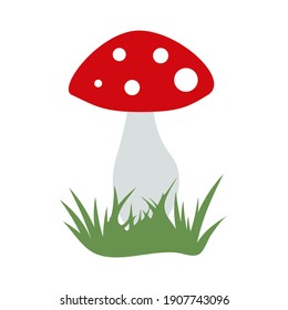Great toadstool on white background. Vector image. 