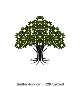 great tree vector illustration, old oak tree 