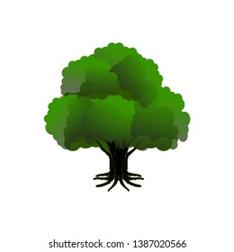 great tree vector illustration, old oak tree 