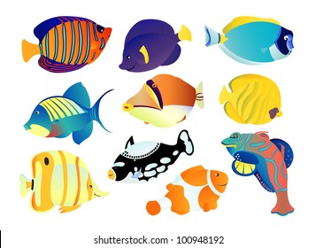 Great tropical fish collection on white background, vector illustration