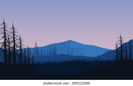 Great view with forest from the out of town at dusk. Vector illustration of a city