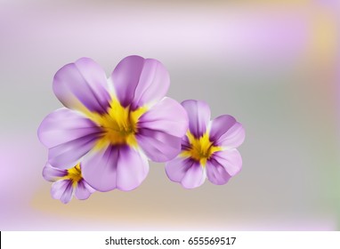Great view of the magic pink Superbells Evening Star flowers on fantastic background.