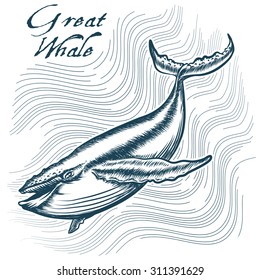 Great Whale in deep water. Engraving style. Only free font used.