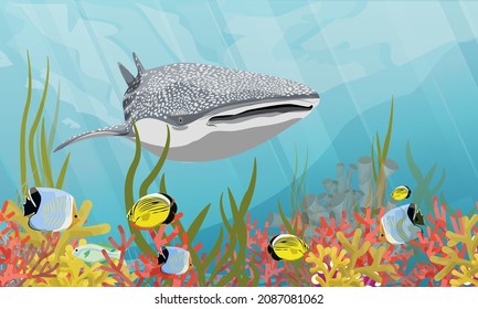 The great whale shark Rhincodon floats over a coral reef with tropical fish and algae. Giant fish of the World Ocean. Realistic vector underwater landscape