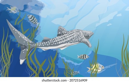 The great whale shark Rhincodon swims swims in the water with green algae and tropical fish. Giant fish of the World Ocean. Realistic vector underwater landscape