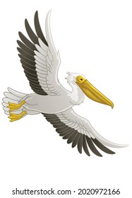 Great White Pelican Bird Flying