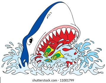 Great white shark