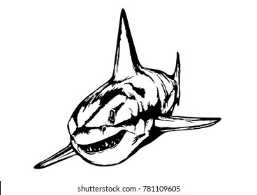 great white shark 