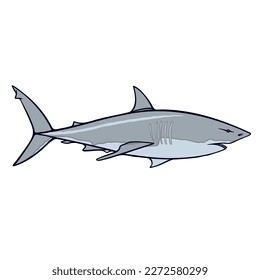 CARTOON SHARK Royalty Free Stock SVG Vector and Clip Art