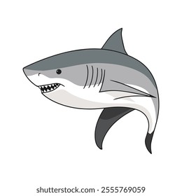 Great White Shark Flat Vector Illustration, Simple Stylized Design, Sleek Gray Body, Minimalist Look, Clean Lines, White Background