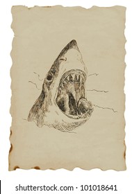 Great White Shark - hand drawing of an animal on the brown paper.