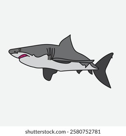 Great White Shark Illustration with white Background