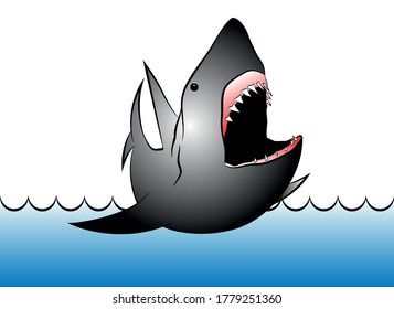 Great White Shark Illustration Picture