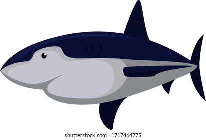 Great white shark, illustration, vector on white background