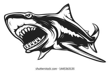 Great white shark isolated vector illustration. Shark logo. Agressive ocean animal. Angry masscot sport logotype.