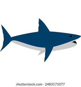 great white shark, ocean animals, isolated on white background, animal vector illustration