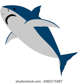 great white shark, ocean animals, isolated on white background, animal vector illustration