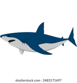great white shark, ocean animals, isolated on white background, animal vector illustration