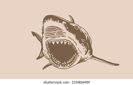 Great white shark with open mouth,vector megalodon element, sepia illustration