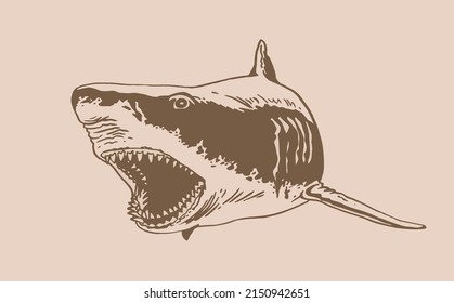Great white shark with open mouth,vector megalodon element, sepia illustration