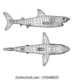 Gran ilustración de líneas poligonales de Tiburón Blanco. Tiburón vector abstracto sobre el fondo blanco
