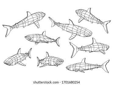Great White Shark polygonal lines illustration. Abstract vector shark on the white background
