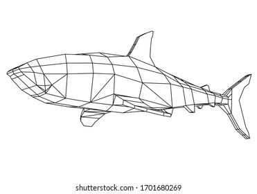 Gran ilustración de líneas poligonales de Tiburón Blanco. Tiburón vector abstracto sobre el fondo blanco