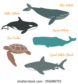 Great White Shark, Sea Turtle and Whales. Vector illustration. Isolated on a White background.