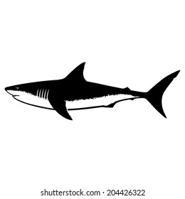 Great White Shark Silhouette Isolated on White