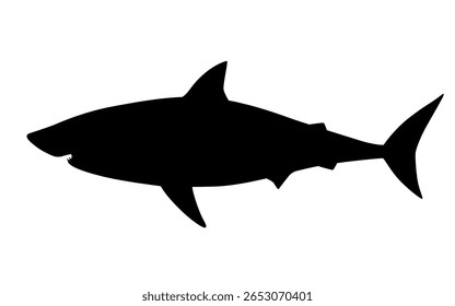 Great white shark silhouette vector illustration