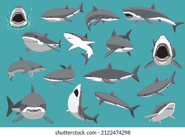 Great White Shark Sixteen Poses Cartoon Vector Illustration