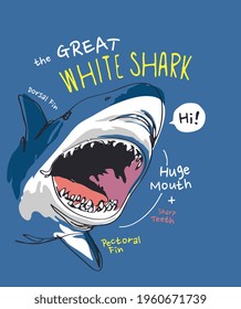 great white shark slogan with cartoon shark anatomy vector illustration