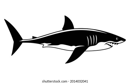 Great white shark swimming drawing, black vector shark hunting prey.