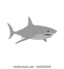 Great white shark vector