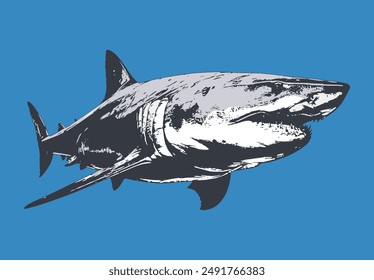 Great White Shark vector art. Stylized art with rustic features.