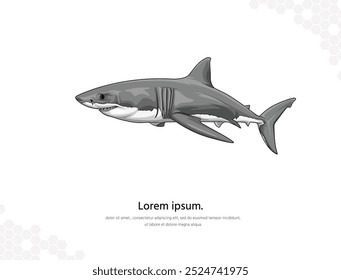 Great white shark vector art for wall decoration. realistic animal images. Hand drawn marine animal isolated. for room decoration, events, etc