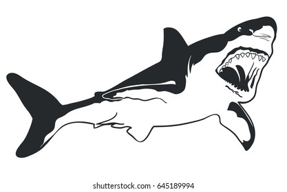 Great white shark vector design