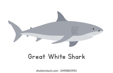 Great white shark vector illustration. Great white shark cartoon clipart, animal in flat style. Sea animals, underwater creatures, ocean animals, marine life concept. Great white shark vector