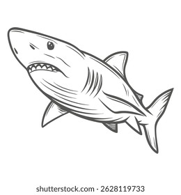 Great White Shark Vector Illustration - Carcharodon Carcharias