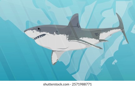 Great white shark in the water. Realistic vector landscape