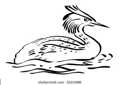 great-crested grebe