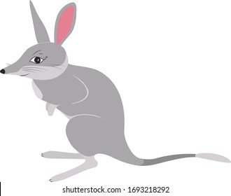 Сute greater bilby icon cartoon vector design. Rabbit eared bandicoot hand drawn illustration isolated on white background. Happy aussie Easter. Endangered australian animal