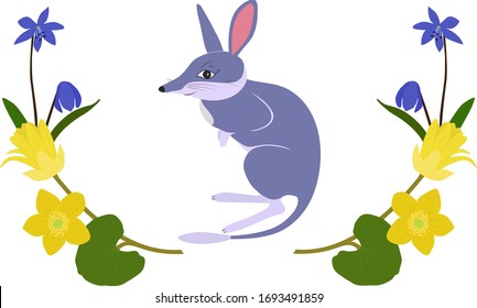 Сute greater bilby poster cartoon vector design. Rabbit eared bandicoot and flower frame hand drawn illustration isolated on white background. Happy aussie Easter