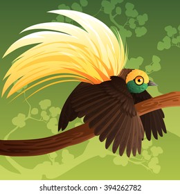 Greater Bird Of Paradise Dance On Branch