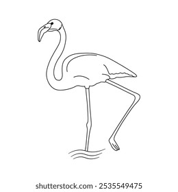 Projeto vetorial da arte da linha do flamingo bird maior. Projeto de ilustração do contorno do pássaro flamingo maior.